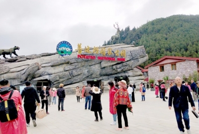 “一期一会相约花海”线下活动回顾  现场人气火爆 抖音话题播放量已超过700万
