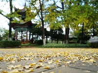 昆明翠湖公园