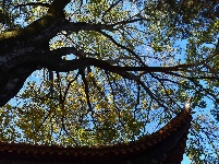 安宁八街三和寺