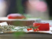 红豆杉
