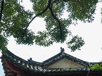 昆明翠湖公园