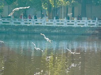 昆明翠湖公园