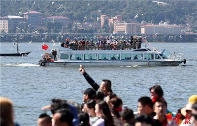 昆明滇池景观大坝人鸥同乐过大年