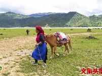 【就爱去香格里拉】一半海水一半草原  高原景色令人着迷