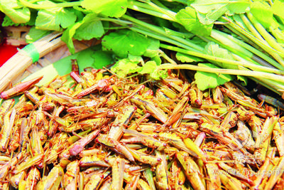 瑞丽百虫宴