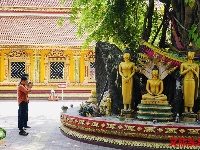 万象 悠闲慢时光