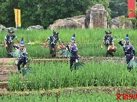 哈尼苦扎扎节 云南民族村等你来嗨