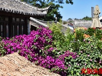 找个院子，在丽江晒太阳