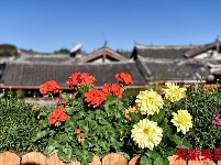 找个院子，在丽江晒太阳
