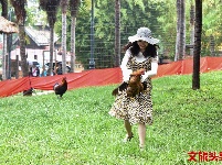 哈尼苦扎扎节 云南民族村等你来嗨