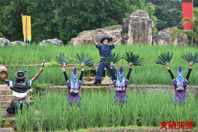精彩不停，活动不断，云南民族村哈尼“苦扎扎节”今日开幕