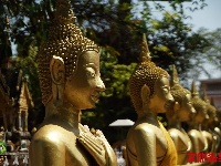 万象 悠闲慢时光