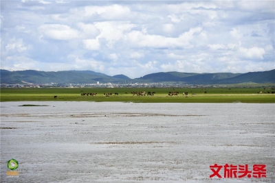 【就爱去香格里拉】一半海水一半草原  高原景色令人着迷