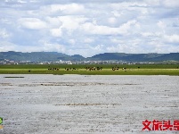 【就爱去香格里拉】一半海水一半草原  高原景色令人着迷