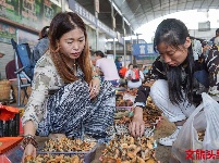又是一年菌儿香