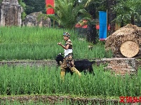 哈尼苦扎扎节 云南民族村等你来嗨