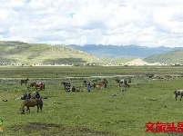 【就爱去香格里拉】一半海水一半草原  高原景色令人着迷
