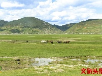 【就爱去香格里拉】一半海水一半草原  高原景色令人着迷