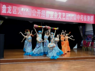 盘龙区文旅局探索群艺发展新路子 公开遴选区属馆办业余文艺团队