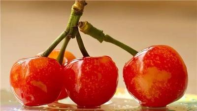 昆明最早的樱桃熟了！4月昆明周边樱桃采摘全攻略在这里，摘完草莓摘樱桃~