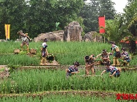 哈尼苦扎扎节 云南民族村等你来嗨