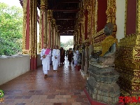 万象 悠闲慢时光