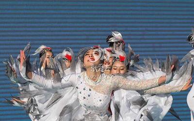 去哪儿发布2016年出行大数据：昆明位列老年人最爱旅行目的地全国第四