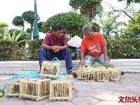 万象 悠闲慢时光