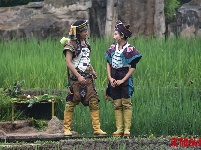 哈尼苦扎扎节 云南民族村等你来嗨