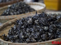又是一年菌儿香