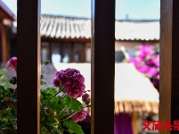 找个院子，在丽江晒太阳