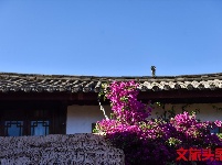 找个院子，在丽江晒太阳