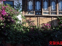 找个院子，在丽江晒太阳