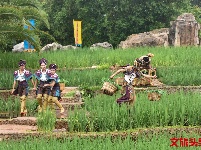 哈尼苦扎扎节 云南民族村等你来嗨