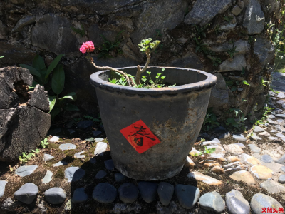 在秋木居，邂逅老朋友