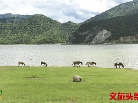 【就爱去香格里拉】一半海水一半草原  高原景色令人着迷