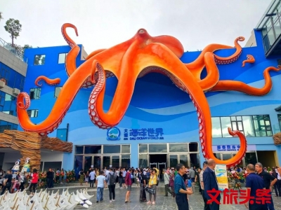暑期旅行到大理，这里不仅有“风花雪月”， 还有更多精彩