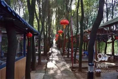 辞旧迎新时 到宜良“雪峰”甩顿年猪饭