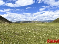 【就爱去香格里拉】一半海水一半草原  高原景色令人着迷
