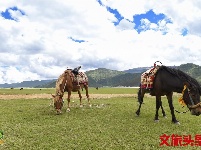 【就爱去香格里拉】一半海水一半草原  高原景色令人着迷