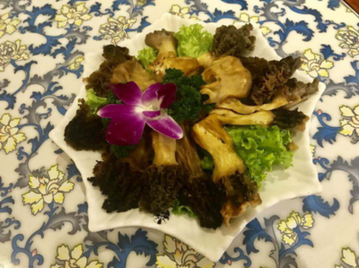 【食小君美食推荐】味蜀吾老火锅 山珍野菌宴