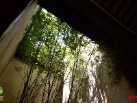 图集| “诗心自在”游浙江，诗路上的新市古镇，保留人间烟火味