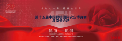九月斗南“花事”多   第十五届中国昆明农博会斗南分会场即将开幕