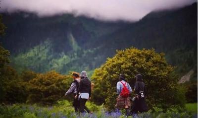 云南香格里拉再推网红旅游线路——松茸之旅
