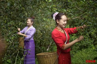 “六举措”推进普洱旅游市场整治