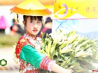 新平戛洒 花街尽奇珍