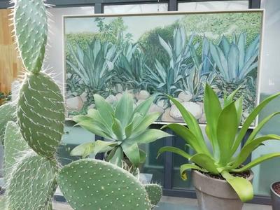 遇见“世纪植物”龙舌兰花期，“植物的力量”联合艺术展昆明斗南开展 