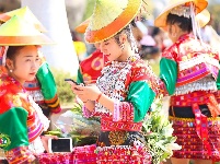 新平戛洒 花街尽奇珍