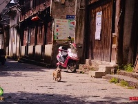 图集| “诗心自在”游浙江，诗路上的新市古镇，保留人间烟火味
