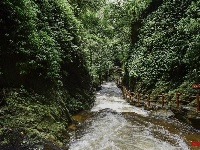 【就爱去新平】新平石门峡 哀牢山上的九寨沟